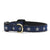 Up Country North Star Small Breed Dog Collar