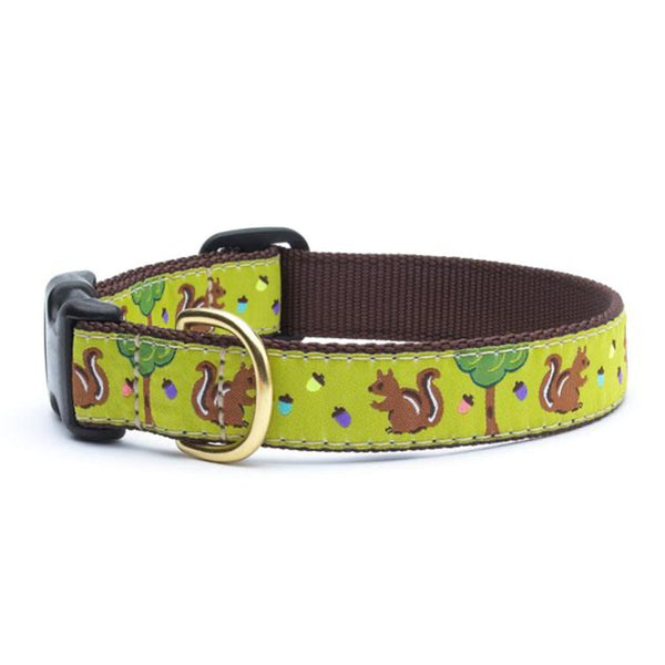 Up Country Nuts Dog Collar