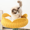 Happy & Polly Yellow Tulip Cat Tree