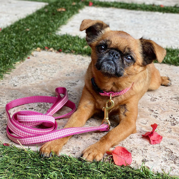 Up Country Pink Gingham Small Breed Dog Lead