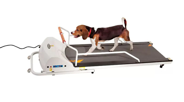 GoPet Small-Medium Breed Dog Treadmill