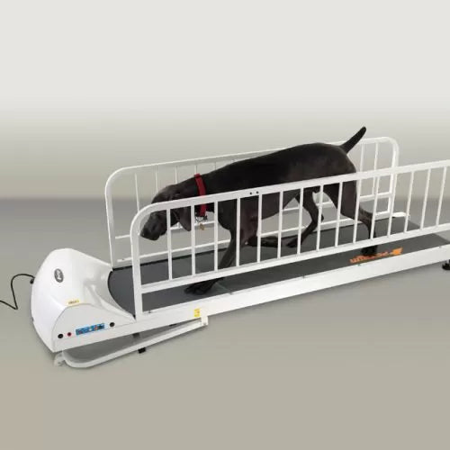 GoPet Large Breed Treadmill