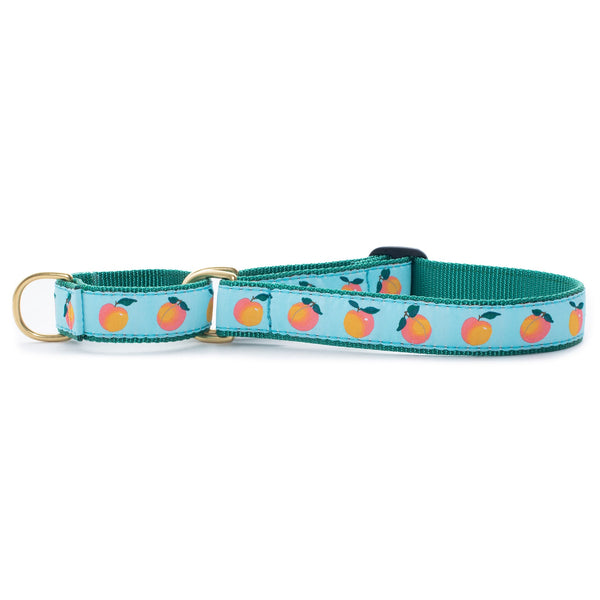 Up Country Peachy Martingale Dog Collar