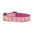 Up Country Pink Crush Dog Collar