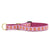 Up Country Pink Crush Martingale Dog Collar