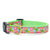 Up Country Pink Palms Dog Collar