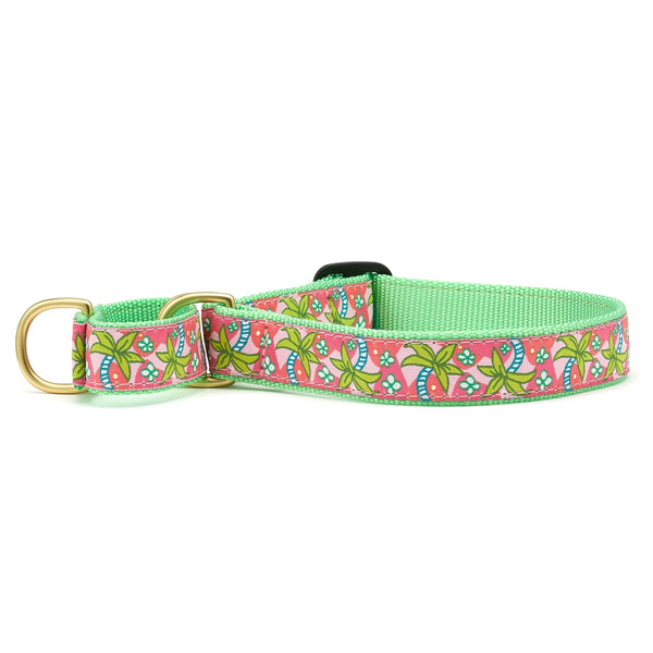 Up Country Pink Palms Martingale Dog Collar