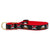 Up Country Pirate Martingale Dog Collar