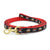 Up Country Pirate Small Breed Dog Lead