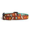 Up Country Pumpkin Spice Printed Dog Collar - Brown