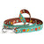 Up Country Pumpkin Spice Printed Dog Lead - Mint
