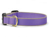 Up Country Color Market Dog Collar - Wide