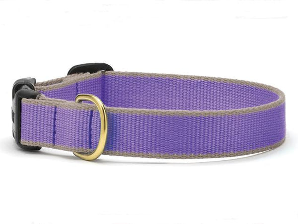 Up Country Color Market Dog Collar - Wide