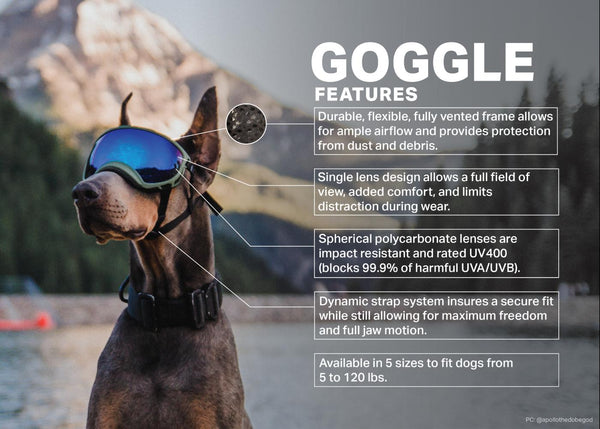 Rocky Mountain Dog V2 Small Dog Goggles