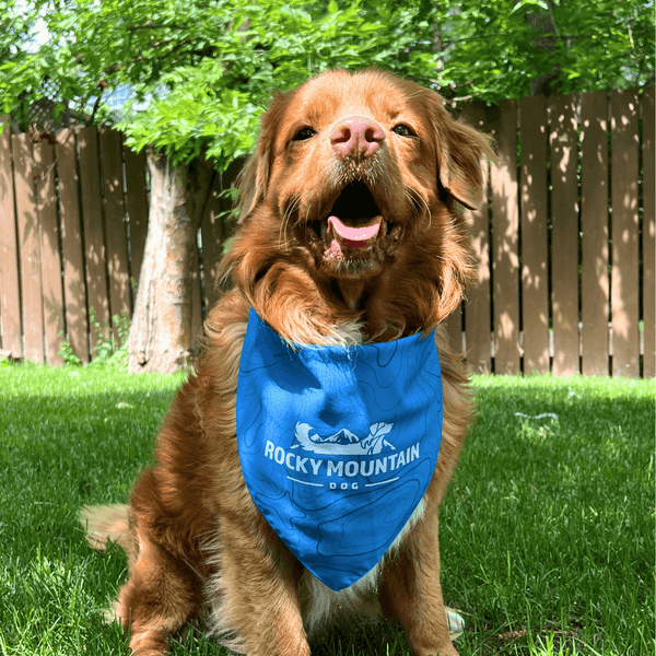 Rocky Mountain Dog Bandana