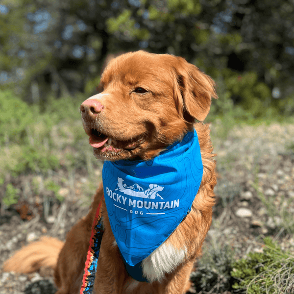 Rocky Mountain Dog Bandana