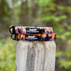 Rocky Mountain Dog Ranger Alpine Collar