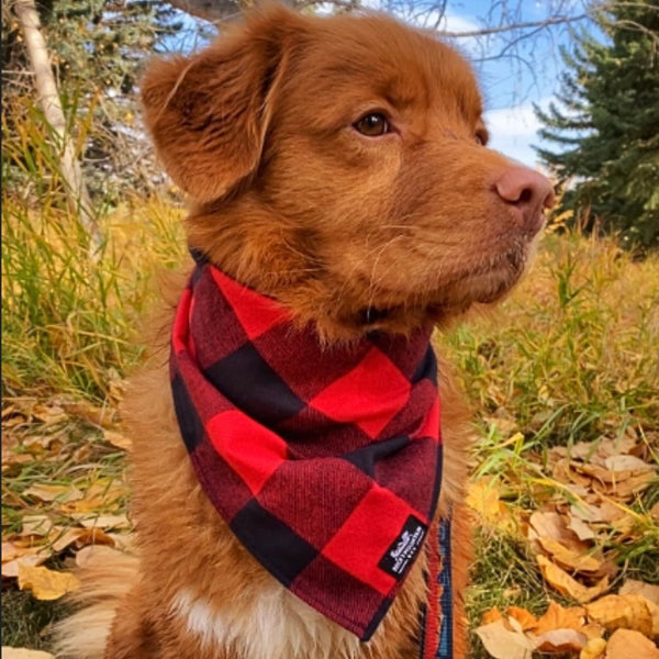 Rocky Mountain Dog Flannel Dog Bandana