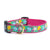 Up Country Reef Dog Collar