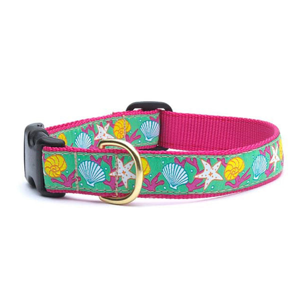 Up Country Reef Dog Collar