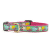 Up Country Reef Small Breed Dog Collar
