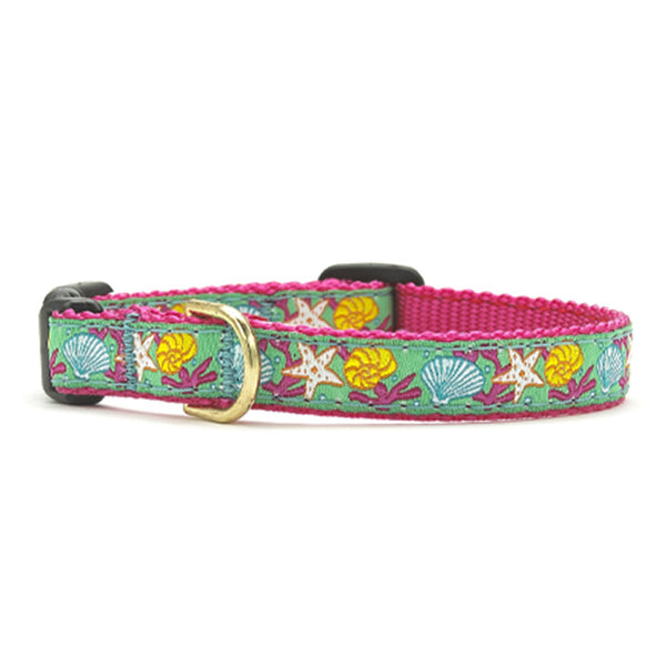 Up Country Reef Small Breed Dog Collar