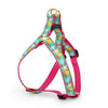 Up Country Reef Dog Harness