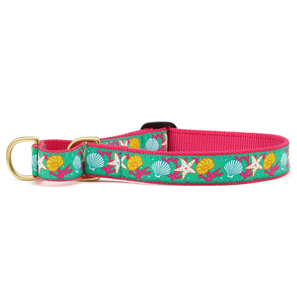 Up Country Reef Martingale Dog Collar