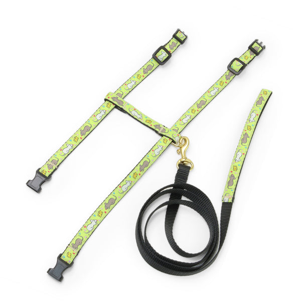 Up Country Say Cheese Cat Harness Set