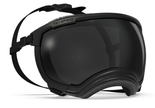 Rocky Mountain Dog V2 Medium Dog Goggles