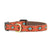 Sedona Small Breed and Puppy Dog Collar