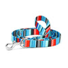 Up Country Serape Stripe Printed Dog Lead