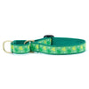 Up Country Shamrock Martingale Dog Collar