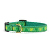 Up Country Shamrock Small Breed Dog Collar