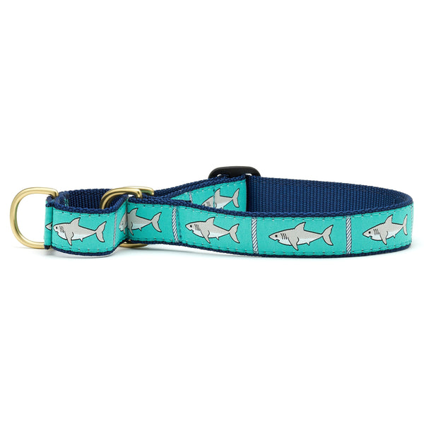Up Country Shark Martingale Dog Collar