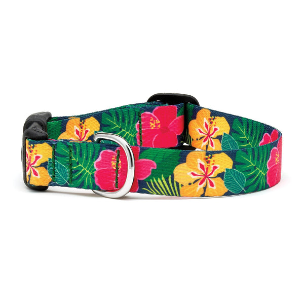 Up Country Inc Sport Hibiscus Printed Dog Collar