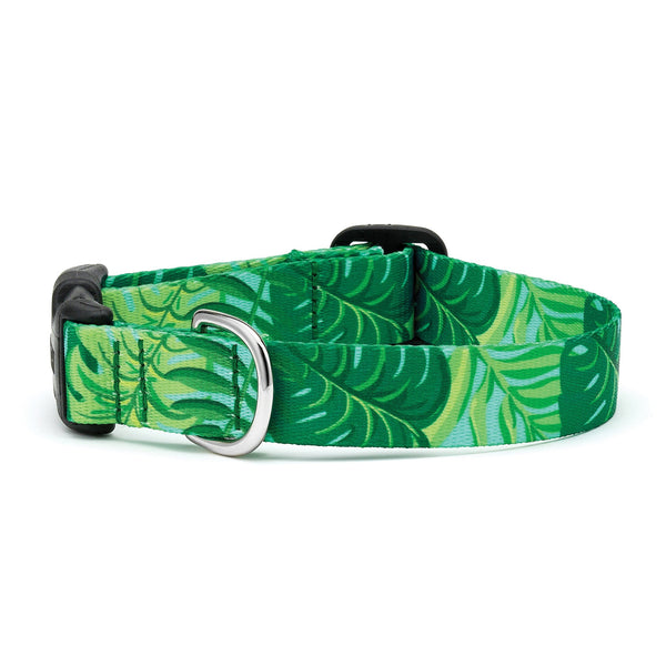 Up Country Palms Printed Dog Collar