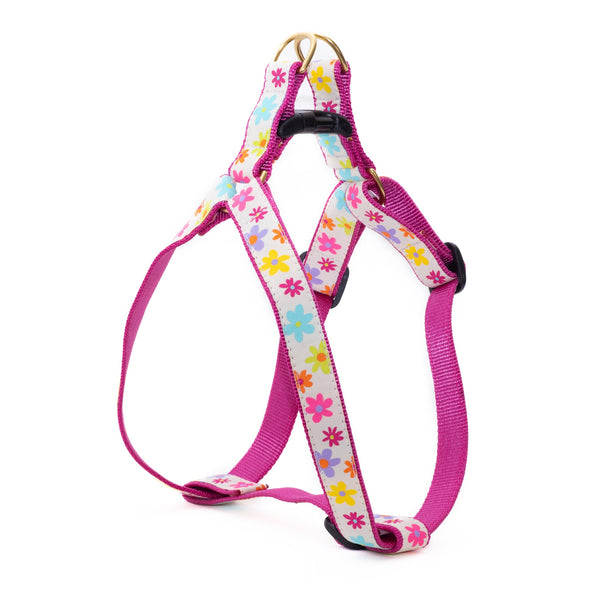 Up Country Spring Fever Dog Harness