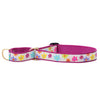 Up Country Spring Fever Martingale Dog Collar