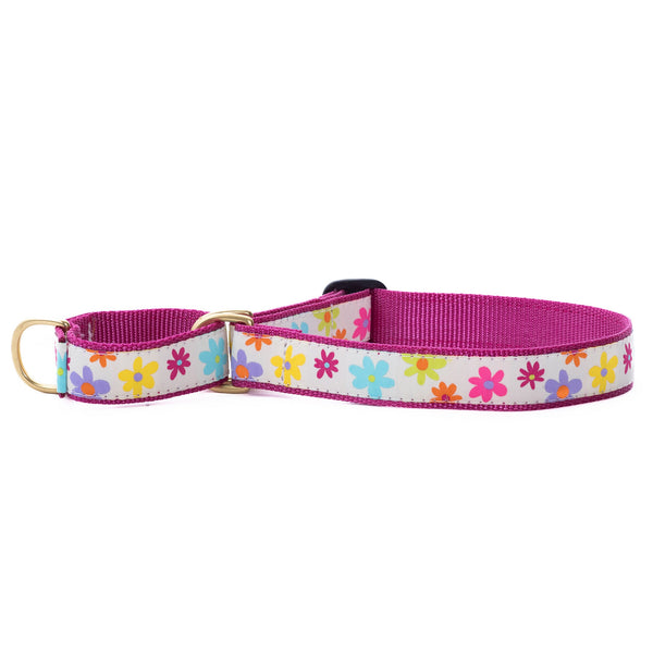 Up Country Spring Fever Martingale Dog Collar