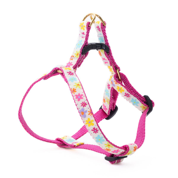 Up Country Spring Fever Small Breed Dog Harness