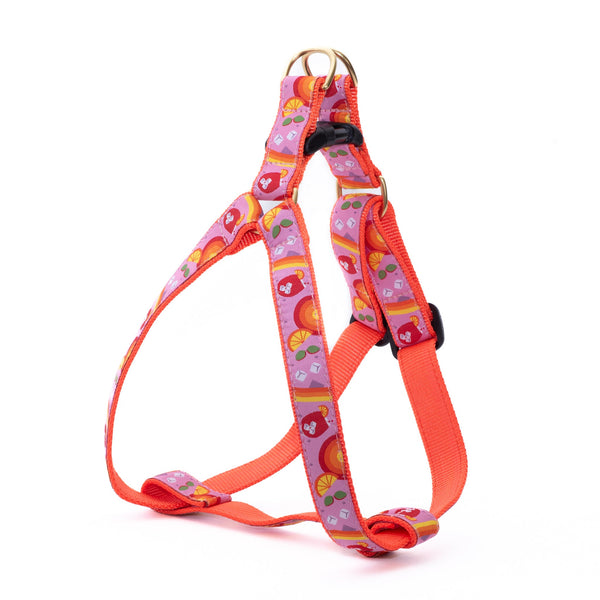Up Country Spritz Dog Harness