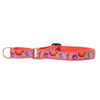 Up Country Spritz Martingale Dog Collar