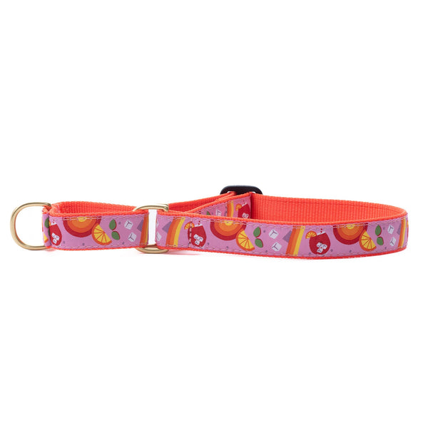 Up Country Spritz Martingale Dog Collar