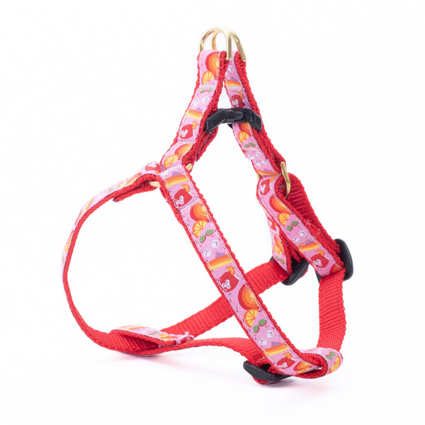 Up Country Spritz Small Breed Dog Harness