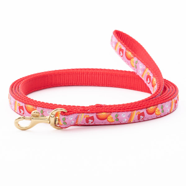 Up Country Spritz Small Breed Dog Lead