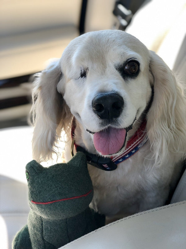 Up Country Stars and Stripes Dog Collar