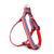 Up Country Stars and Stripes Dog Harness