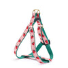 Up Country Strawberry Fields Dog Harness