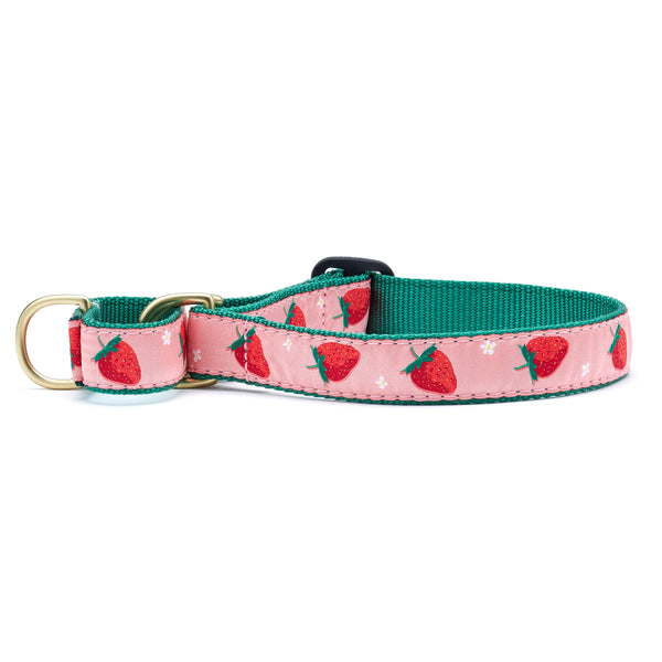 Up Country Strawberry Fields Martingale Dog Collar